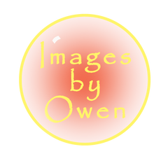 Images by Owen logo