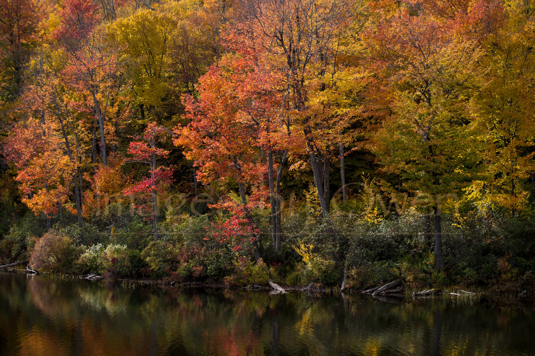 Berkshire Autumn
