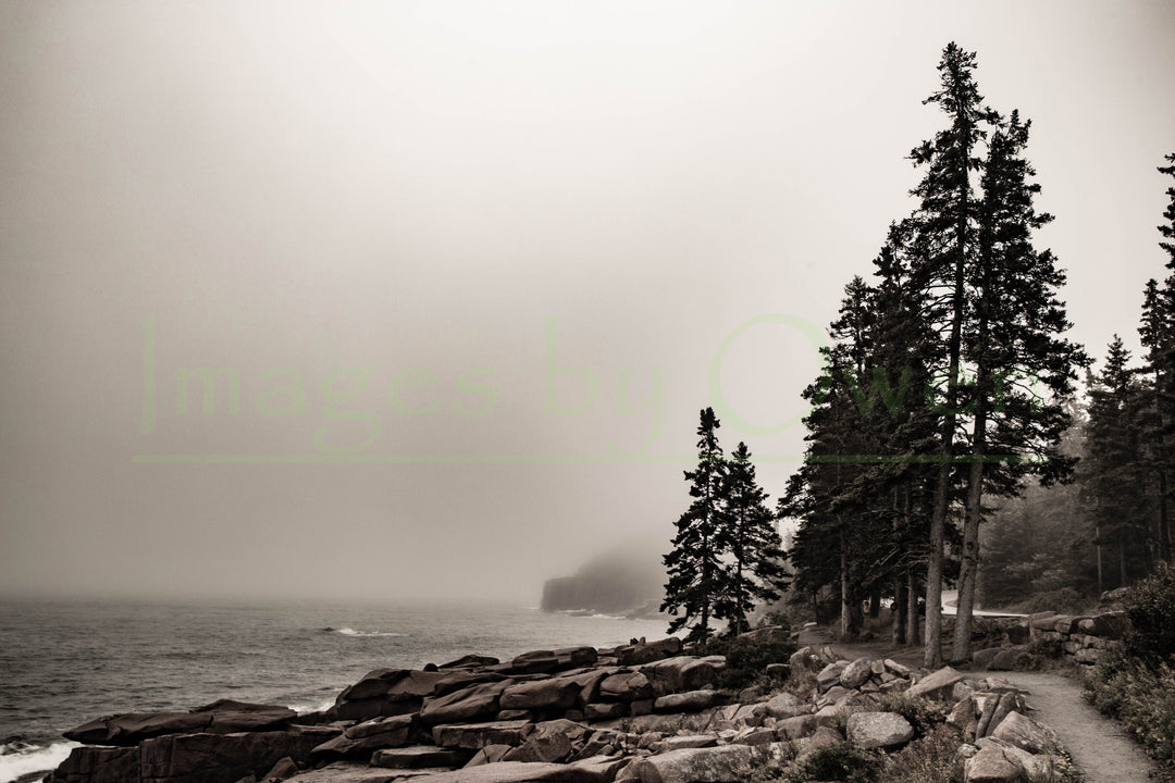 Foggy Maine