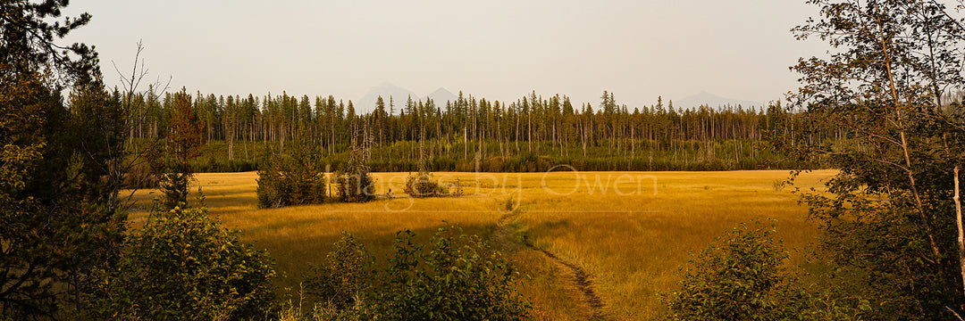 Montana Colors!