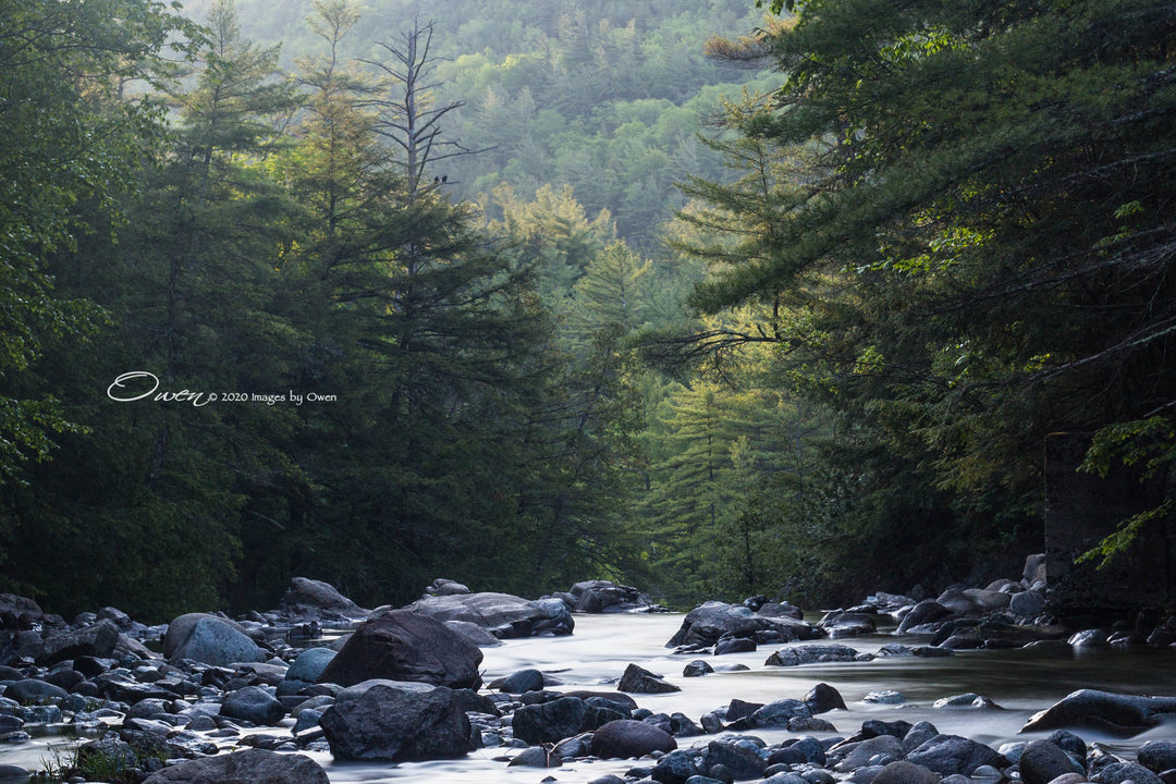 Peaceful Waters