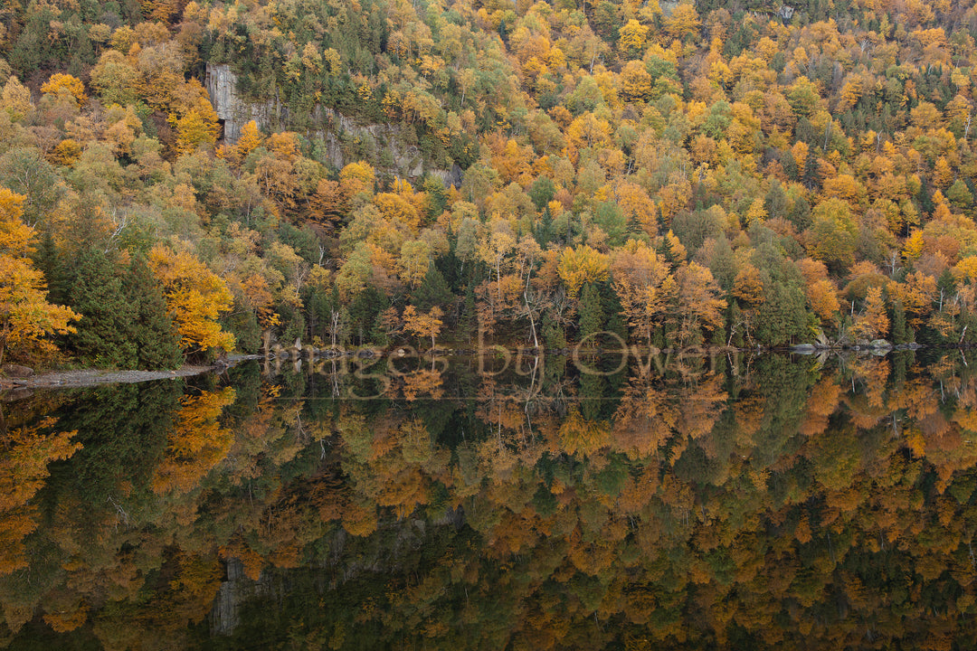 Cascade Reflections of Muted Autumn