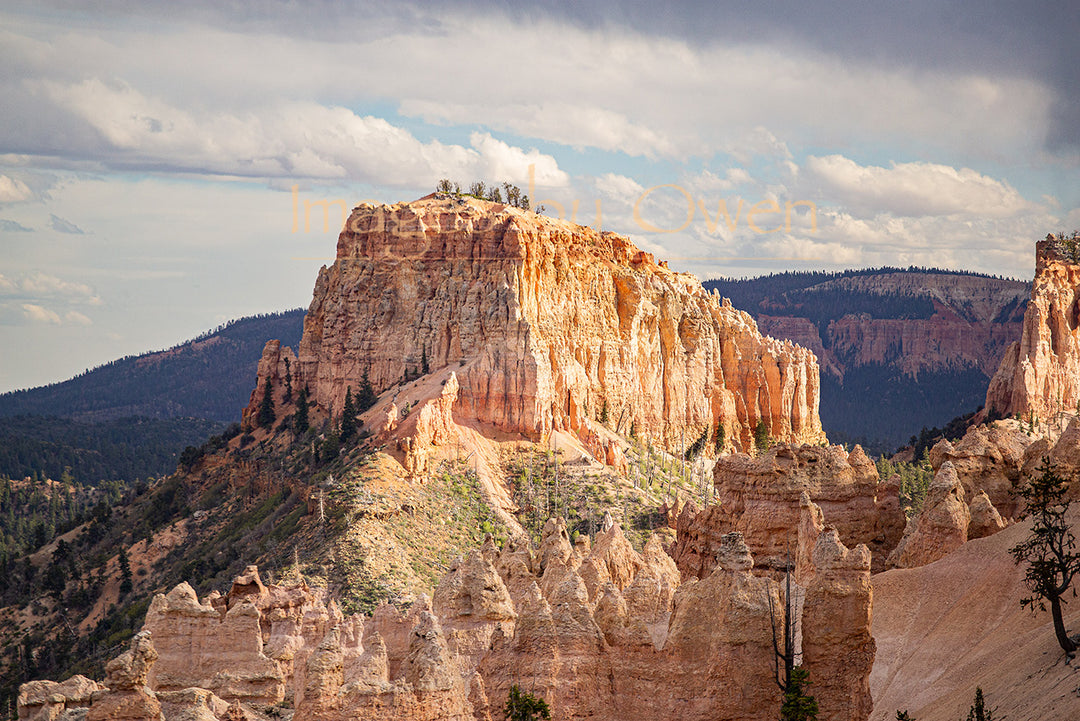 Swamp Canyon Butte