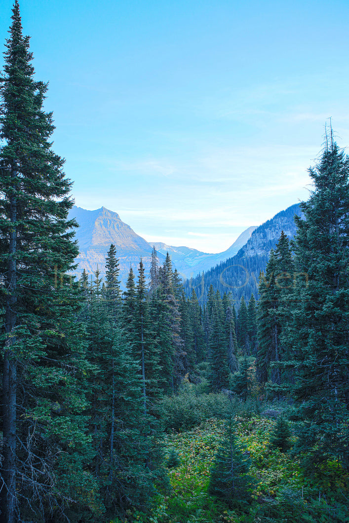 Jackson Glacier