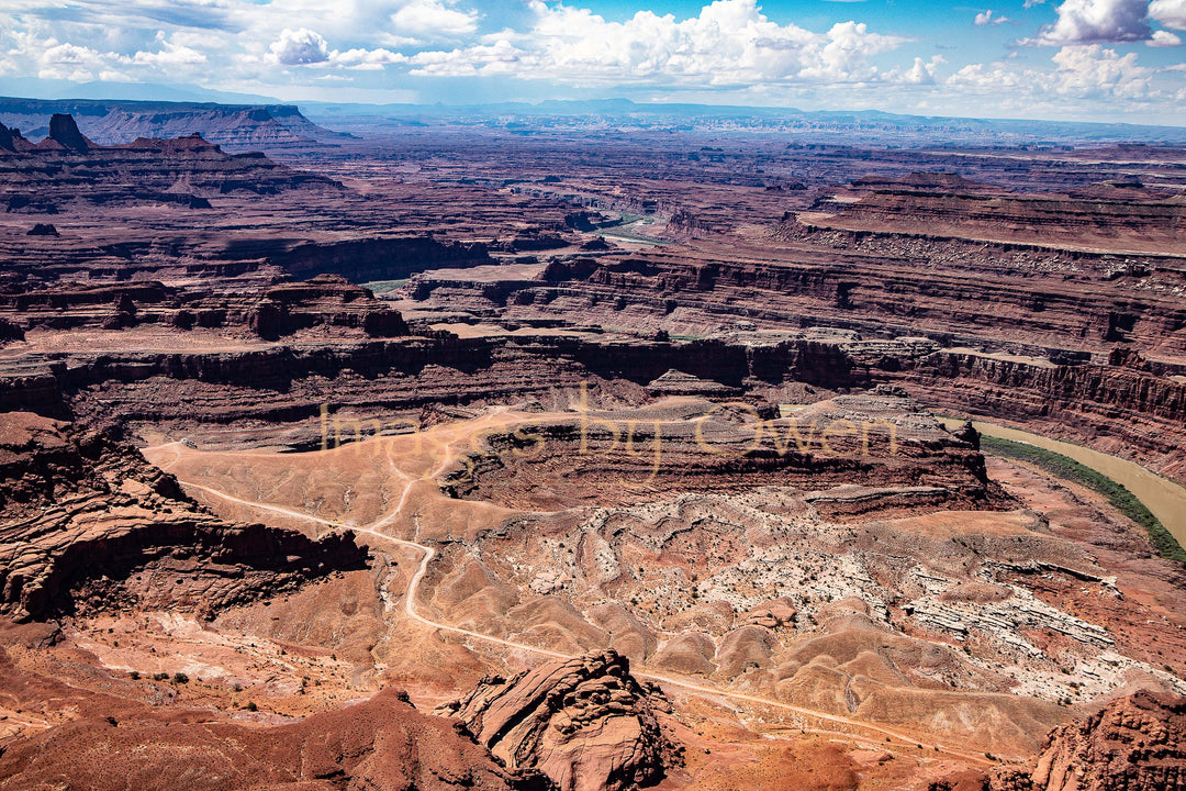 Canyonlands from Dead Horse Point