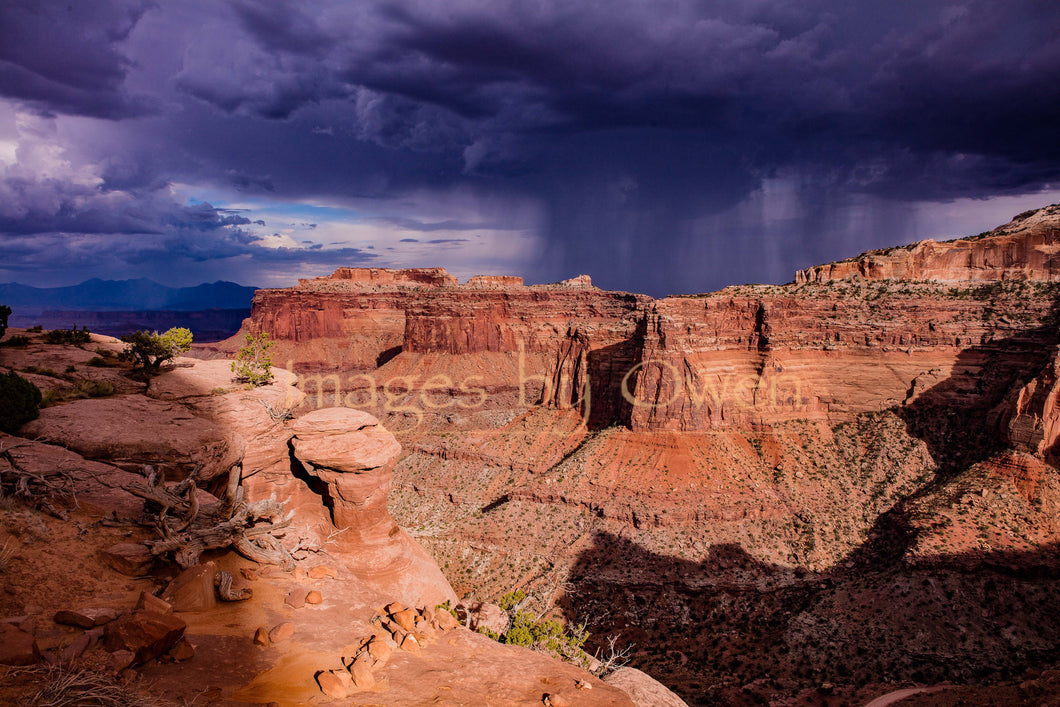 Monsoon in the Canyonlands