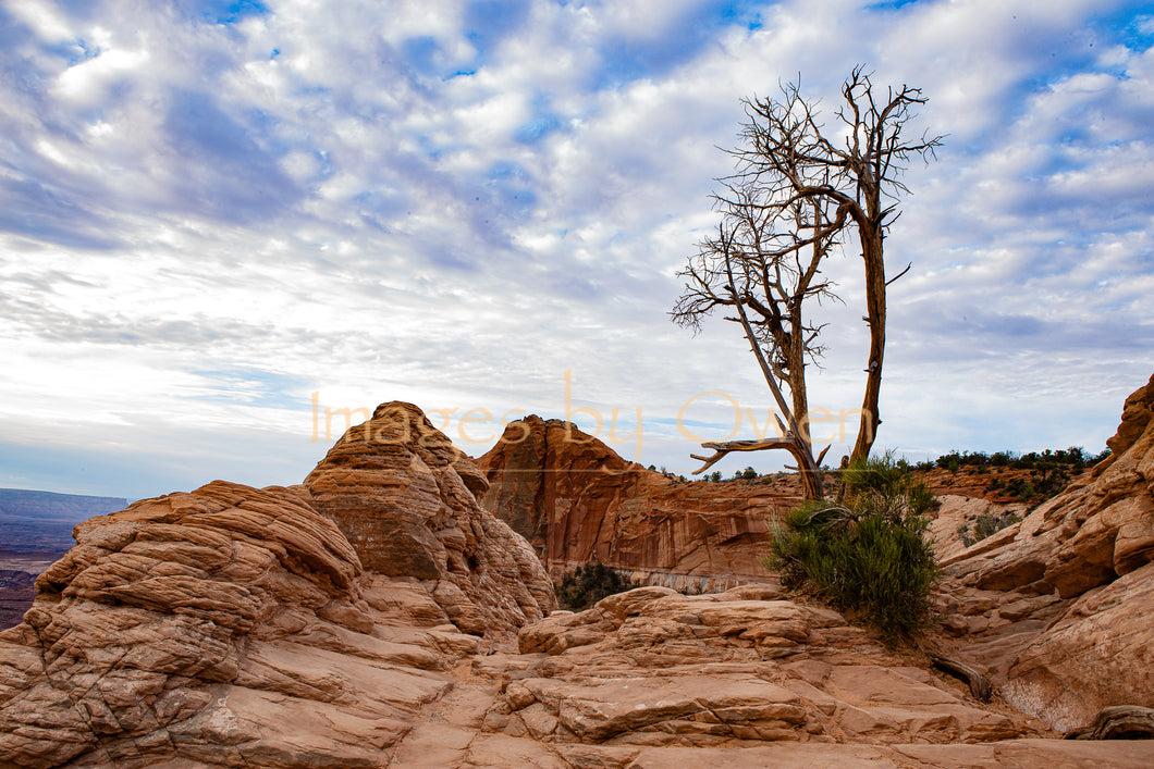 Rocky ground