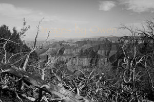 Textures of the North Rim.