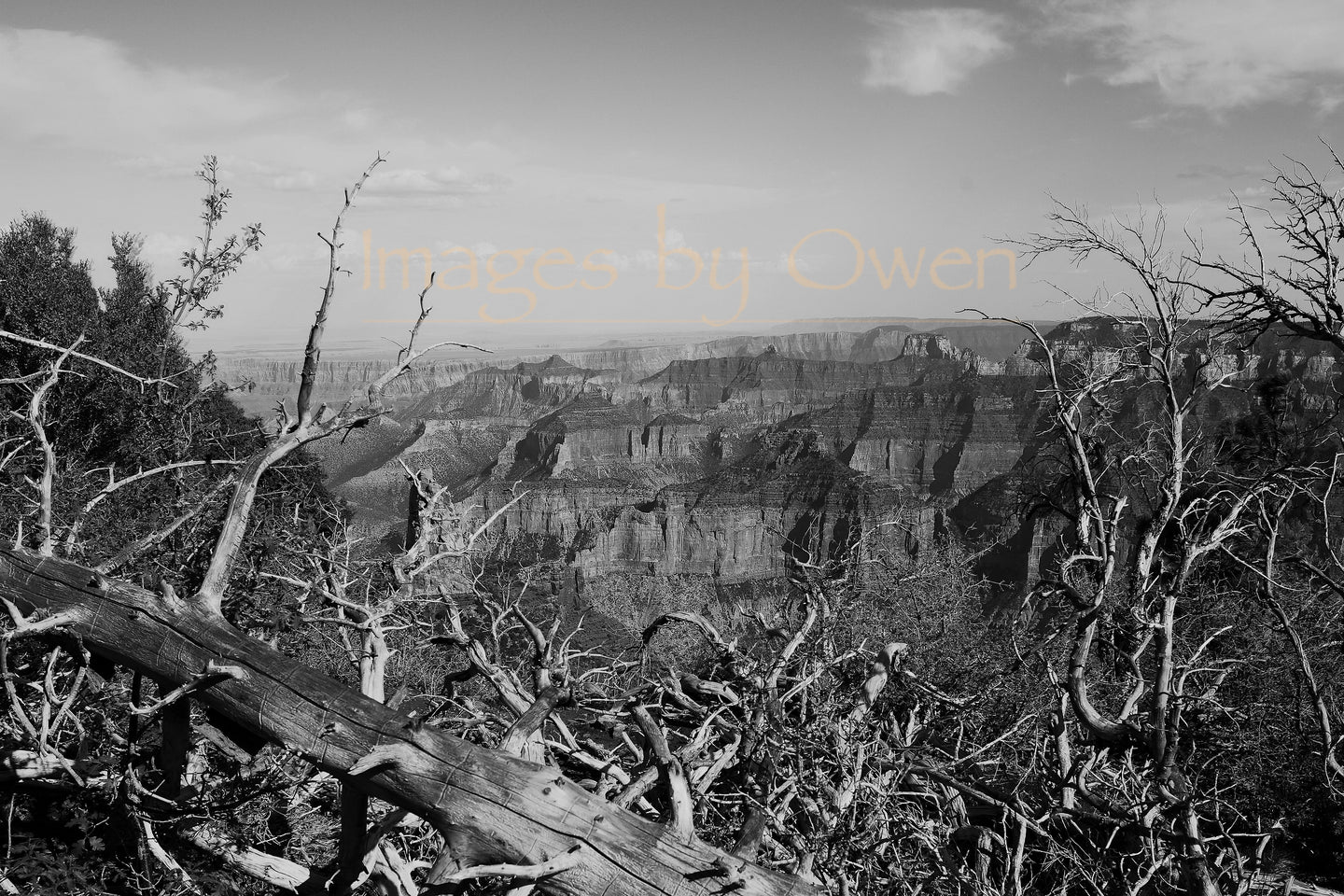 Textures of the North Rim.