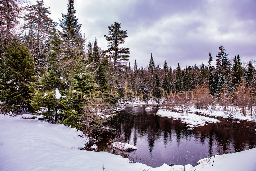 Winter Solitude