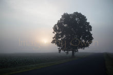 Sunrise in Somers