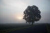 Sunrise in Somers